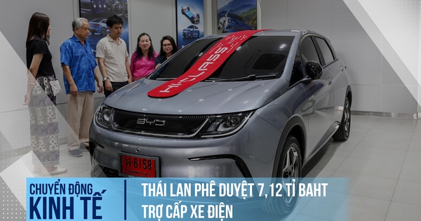 thanhnien.vn