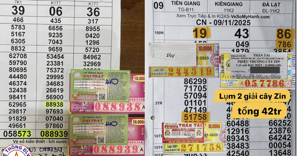Mua nguyên cây vé 140 tờ, bất ngờ trúng 2 giải xổ số miền Nam