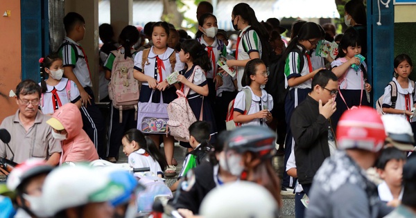 TP.HCM: Báo cáo kết quả khảo sát dịch vụ công một số trường chưa đạt yêu cầu