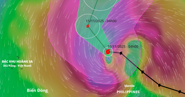 Bão số 14 (bão Fung wong) có ảnh hưởng tới đất liền nước ta?