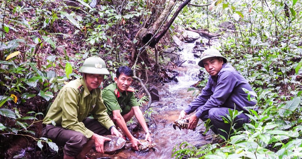 Đưa thú về Vườn quốc gia Kon Ka Kinh