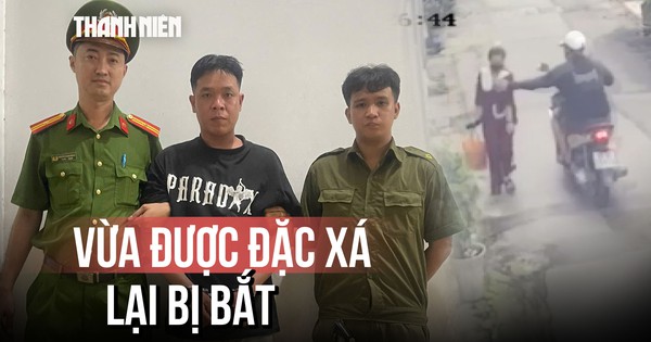 Bắt giữ nghi phạm cướp giật tài sản sau 7 giờ gây án