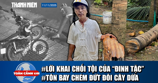 Toàn cảnh 17h: Kiểm chứng tôn bay chém đứt cây dừa | Lời chối tội của 'đinh tặc'
