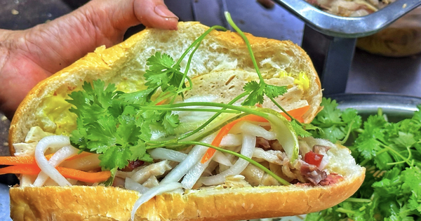 Vì sao pate trong bánh mì dễ nhiễm Salmonella? Lý do bà nội trợ cần lưu ý