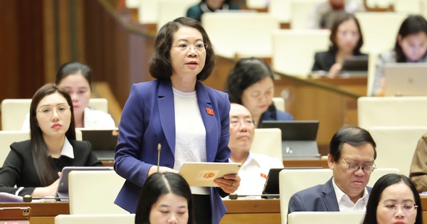 Đại biểu Quốc hội nói gì về giao quyền cưỡng chế thi hành án cho tư nhân?