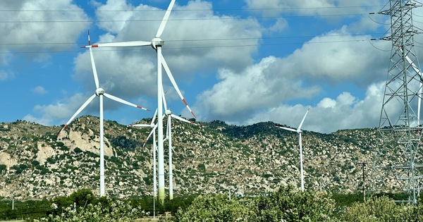 Doanh nghiệp điện gió kêu cứu vì bị cắt giảm công suất, Bộ Công thương nói gì?