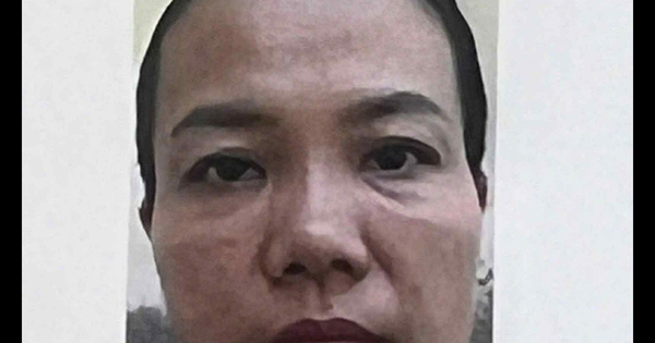 Giả vay kinh doanh trầm hương, sâm Ngọc Linh lừa đảo hơn 10 tỉ đồng