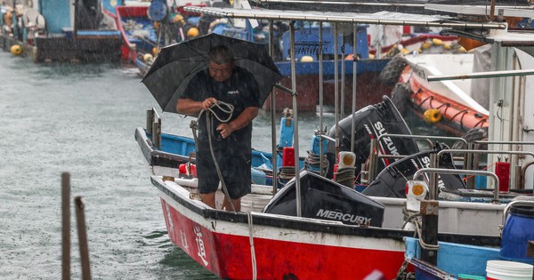 Bão Fung Wong đổ bộ, Đài Loan sơ tán khẩn