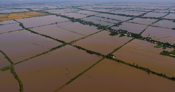Hình ảnh mùa nước nổi miền Tây nhìn từ trực thăng