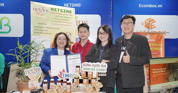 Dự án gừng xanh giúp nhóm sinh viên giành hat-trick giải thưởng