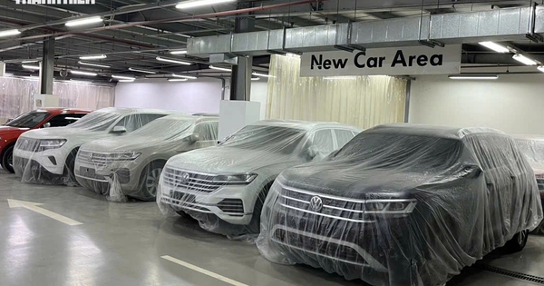 Ô tô nhập về Việt Nam 'hãm phanh', xe xuất xứ Thái Lan, Indonesia chiếm 65%