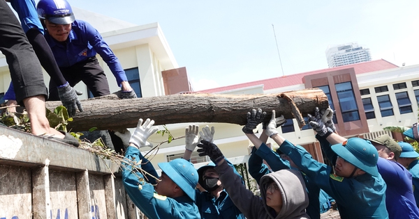 Hồi sinh sau bão Kalmaegi: Người trẻ làm điều khiến ai cũng phải xúc động