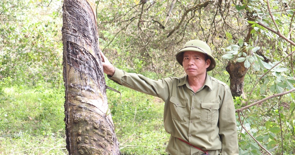 Nhận 21 tỉ đồng, bàn giao ngay đất dự án cao tốc Gia Nghĩa - Chơn Thành