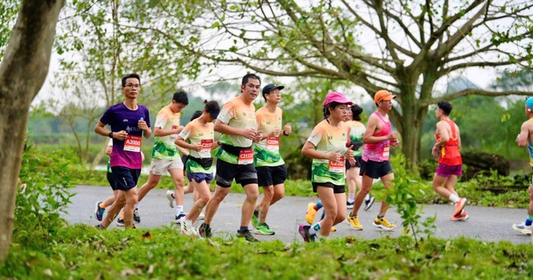 Trang An Marathon 2025 lập kỷ lục hơn 10.000 VĐV tranh tài