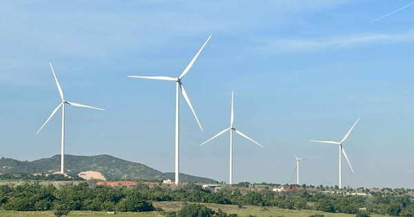 Băn khoăn điện tái tạo bị cắt giảm công suất