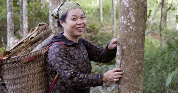 Đổi thay ở Khe Ván