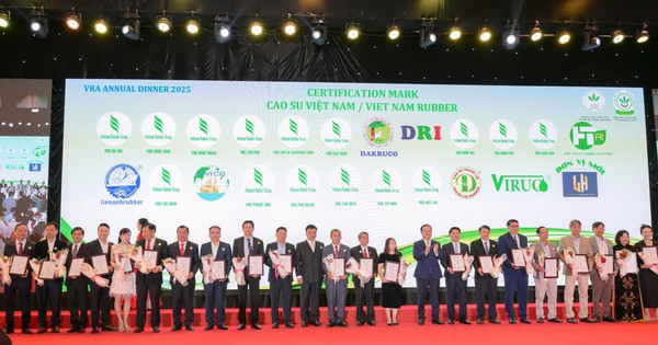 Ngành cao su Việt Nam xuất khẩu dự kiến đạt 11,6 tỉ USD