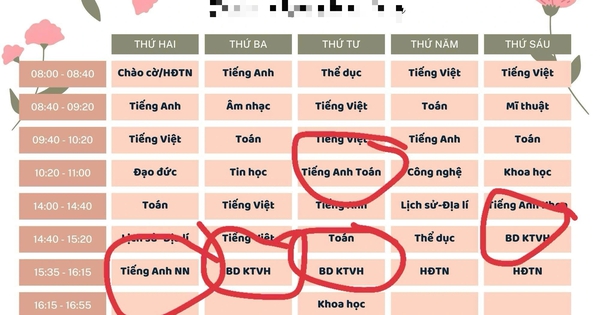 Yêu cầu rà soát việc dạy học liên kết trong các trường công lập