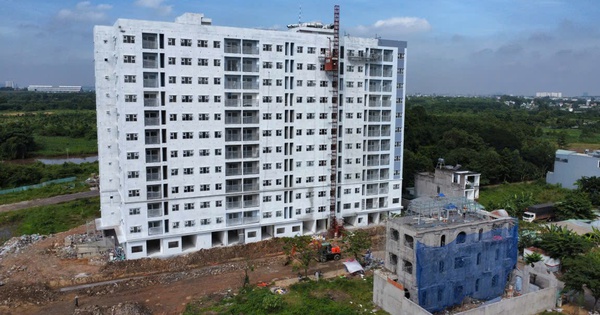 Người độc thân, về hưu mua nhà ở xã hội thế nào?