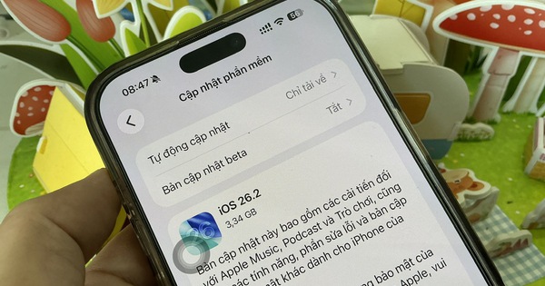 Trì hoãn bản cập nhật sau bao lâu là ổn với smartphone?