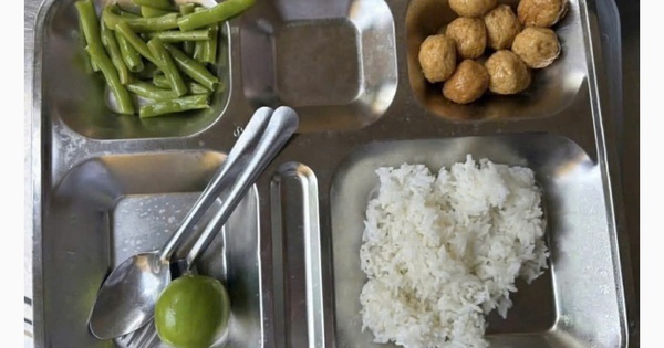 Sở GD-ĐT TP.HCM nói gì về suất ăn bán trú 'lèo tèo' của các trường học?