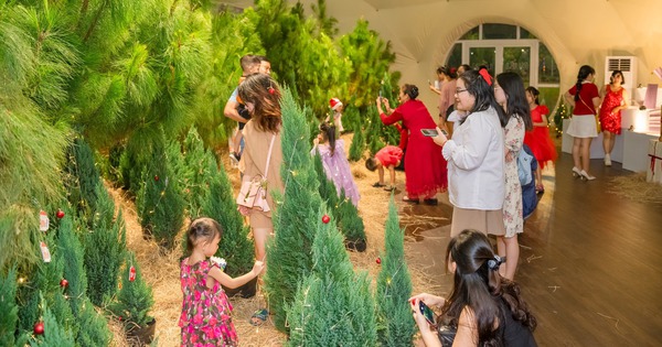 Lễ hội Giáng sinh miễn phí tại Dinh Độc Lập