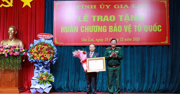 Bí thư Tỉnh ủy Gia Lai nhận Huân chương Bảo vệ Tổ quốc