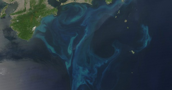 Hiện tượng tự nhiên bất thường ngoài khơi Nhật Bản