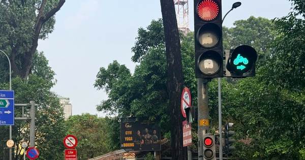 TP.HCM lắp gần 1.400 đèn cho xe máy rẽ phải: Giảm ùn tắc hay vẫn kẹt?