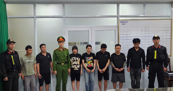 Công an TP.HCM triệt phá đường dây làm thịt bò giả