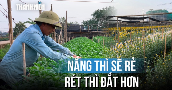 Bỏ qua thiệt hại tiền tỷ, các làng hoa sẵn sàng cho Tết Nguyên đán