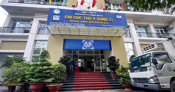 Truy tố cựu lãnh đạo, cán bộ Chi cục Thú y vùng 6 tội nhận hối lộ