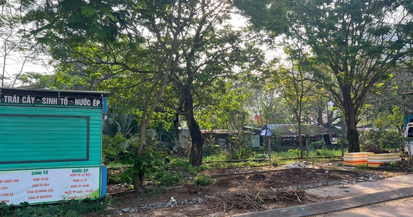 TP.HCM: Đi hóng mát, tá hỏa phát hiện người đàn ông tử vong trong khu dân cư