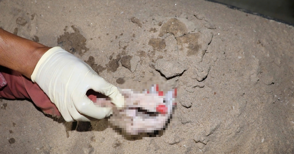 TP.HCM: Phát hiện thi thể nữ trên sông Sài Gòn, bàn tay 6 ngón