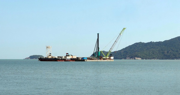 Cà Mau chuyển đổi 9,85 ha rừng phòng hộ làm đường ra đảo Hòn Khoai