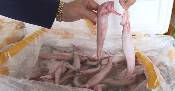 Phát hiện hơn 10 tấn cá khoai chứa formol