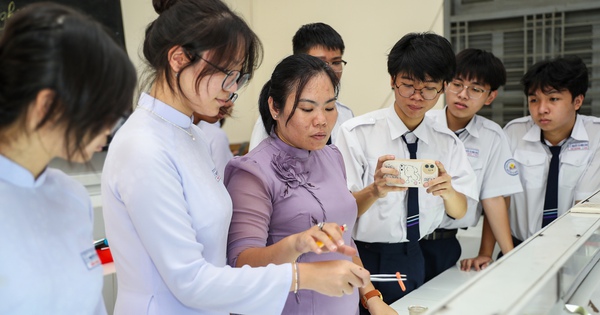 TP.HCM trả lương dạy thêm giờ cho giáo viên bằng 150% chính khóa