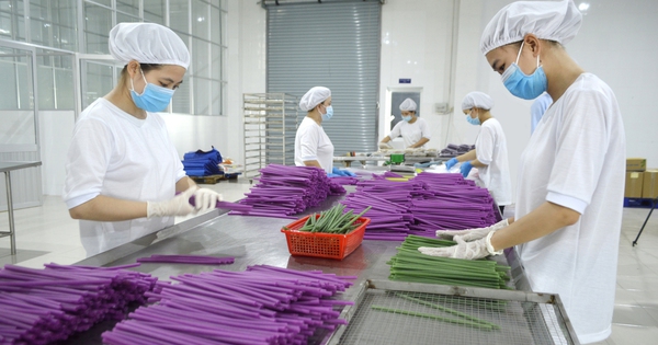 Công ty thực phẩm Hùng Hậu đạt chứng nhận Doanh nghiệp Xanh TP.HCM 2025