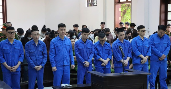 Kẻ cầm đầu đường dây lừa đảo 'lùa' khách đi xem đất ở Đồng Nai bị phạt 18 năm tù