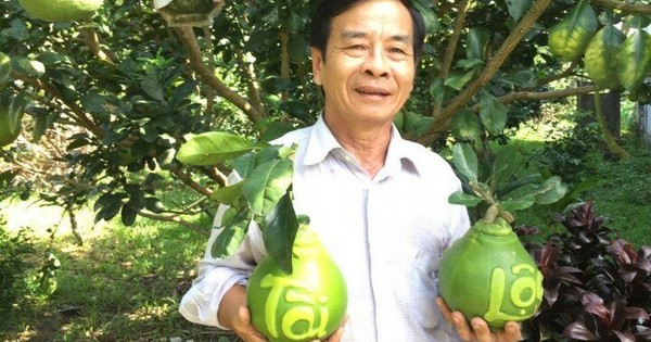 Trái cây tạo hình Tết Bính Ngọ: Nhà vườn miền Tây chăm chút từng sản phẩm