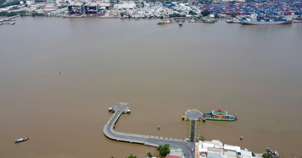 Thi tuyển phương án kiến trúc cầu Cát Lái nối Đồng Nai với TP.HCM