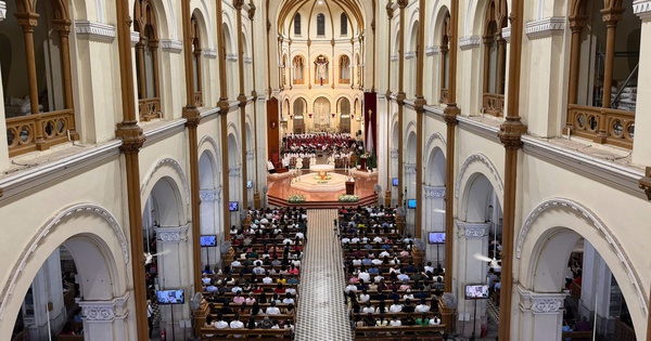 Giáng sinh ở Nhà thờ Đức Bà: Hài nhi Giêsu trong chậu nhựa gợi ký ức lũ lụt