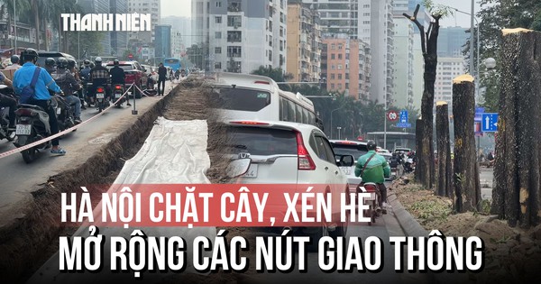 Hà Nội chặt cây, xén hè: người dân vừa mừng vừa lo