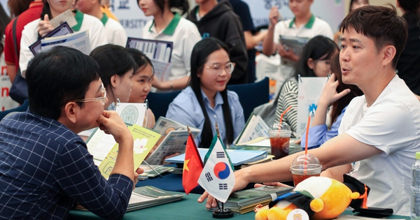 Việt Nam vượt Trung Quốc, dẫn đầu về số lượng du học sinh ở Hàn Quốc