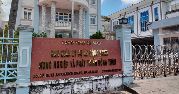 Cà Mau: Hoàn tất tổ chức ban quản lý dự án, vận hành đồng loạt từ 1.1.2026