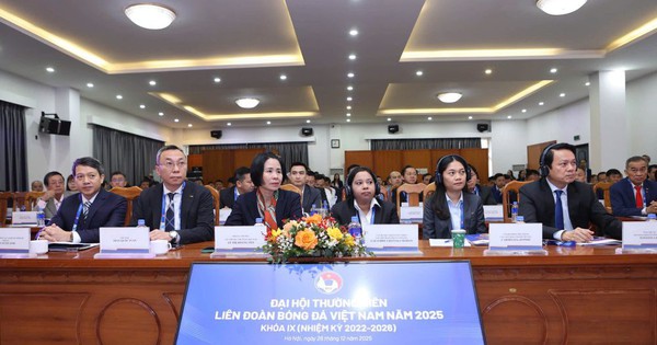 Một loạt CLB bị chấm dứt tư cách thành viên VFF, bãi nhiệm cựu lãnh đạo đội Thanh Hóa