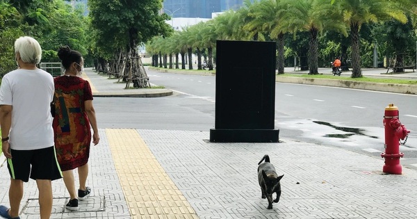 Không để người dân bất an với nạn chó thả rông