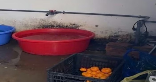 Hà Nội: Phát hiện loạt vi phạm trong cung cấp suất ăn bán trú cho học sinh