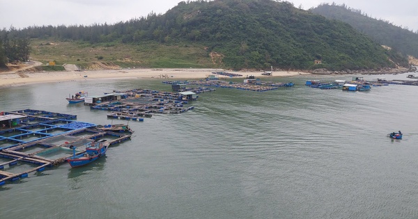 Người dân muốn tiếp tục nuôi trồng thủy sản 'có kiểm soát' trên đầm Đề Gi
