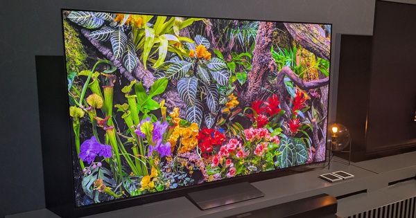 Tuổi thọ thực tế của TV OLED được bao lâu?
